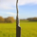 Le guetteur