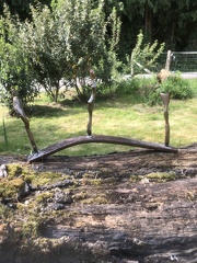 Exposition du printemps des artistes 2022